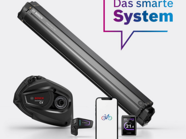 Service E-BikeMotoren